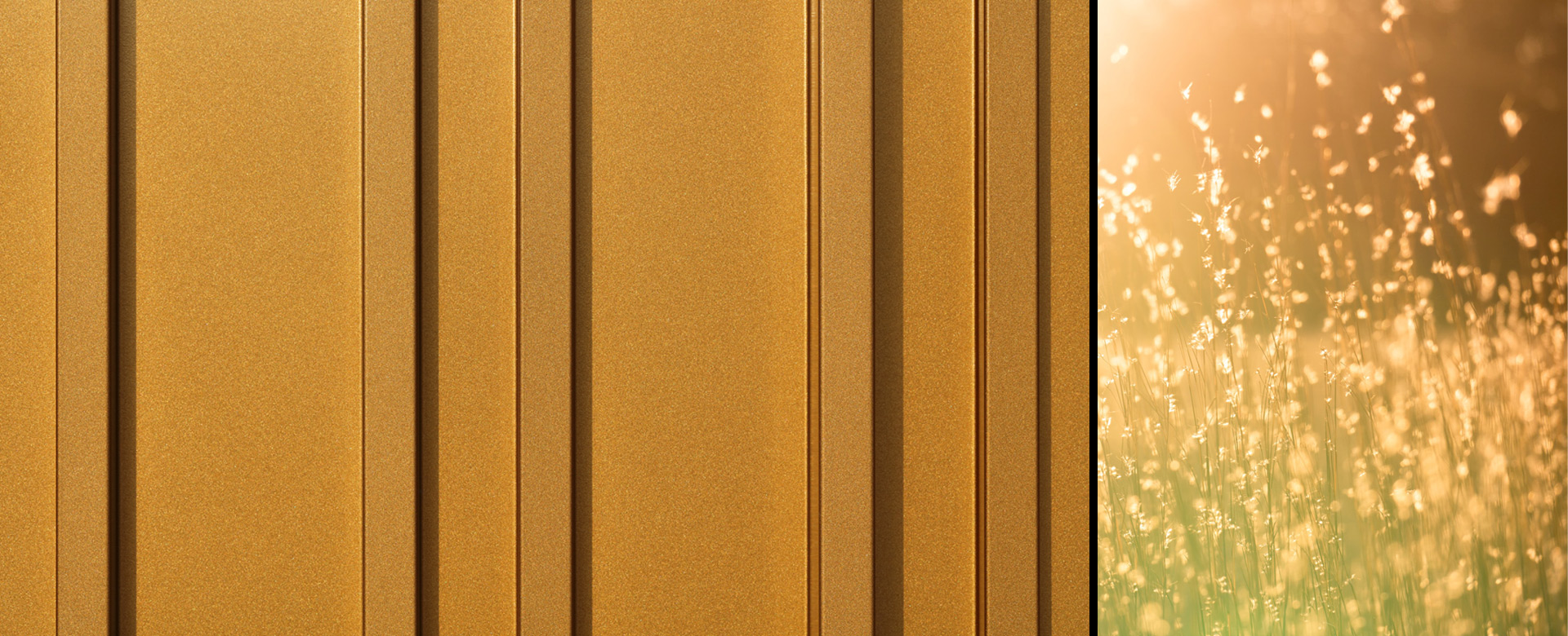 Die warmen Goldtöne erinnern an einen Sommerabend.